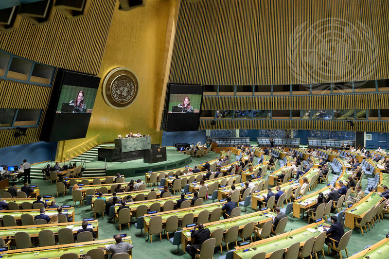 General Assembly Meets on New Partnership for Africa's Development