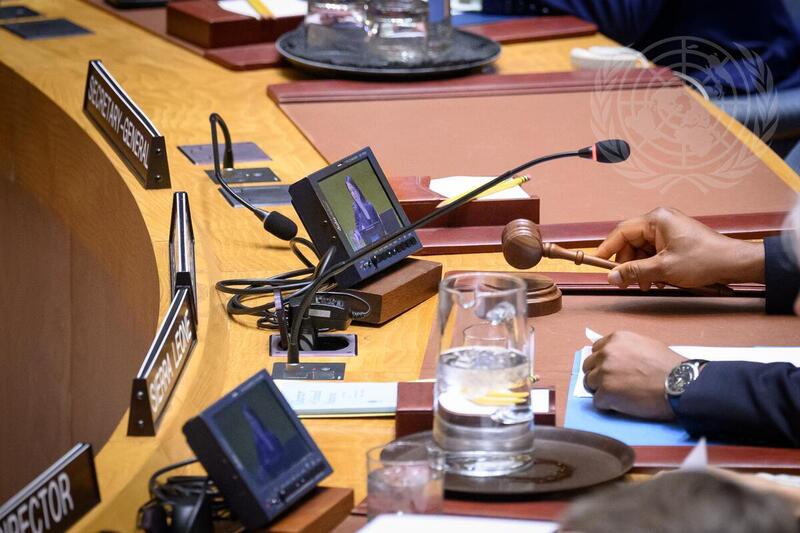 Security Council Meets to Elect Member of International Court of Justice