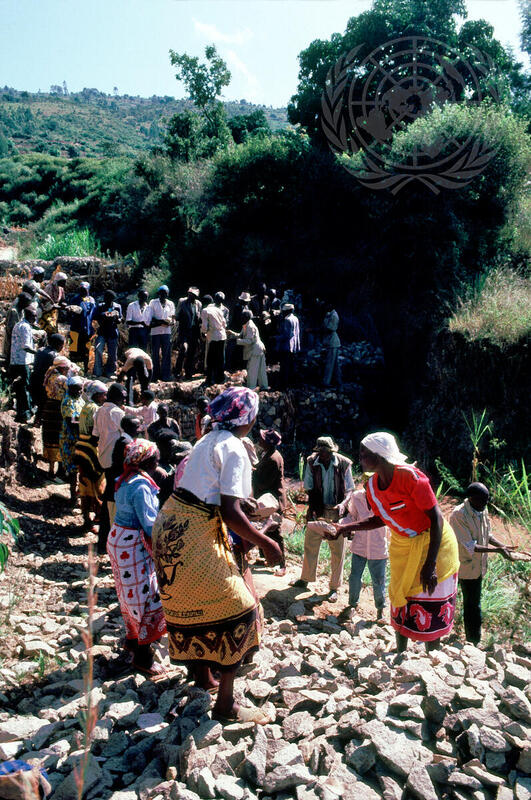 Farming for Development