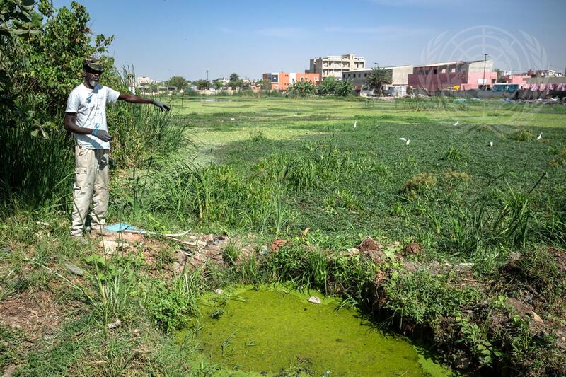 The Plastic Man Fights Plastic Pollution in Dakar