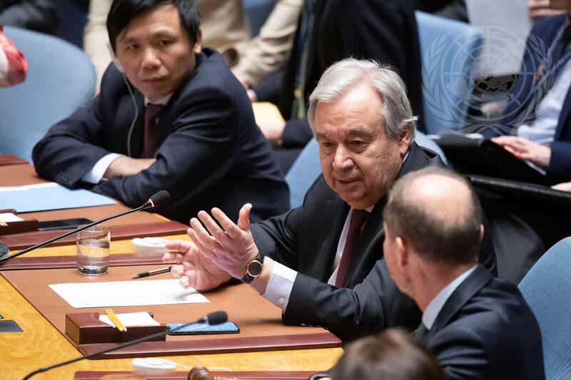 Security Council Meets on Situation in Syria