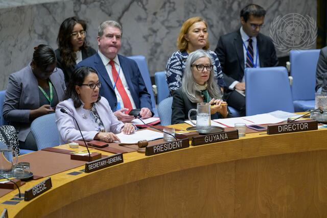 Security Council Meets on Situation in Afghanistan