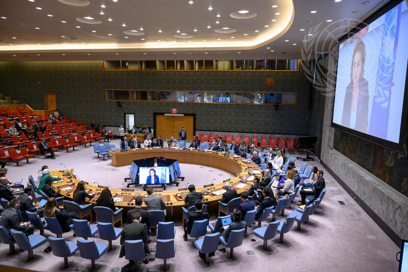 Security Council Meets on Situation in Syria