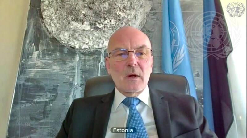 Security Council Holds Videoconference in Connection with MINUSMA