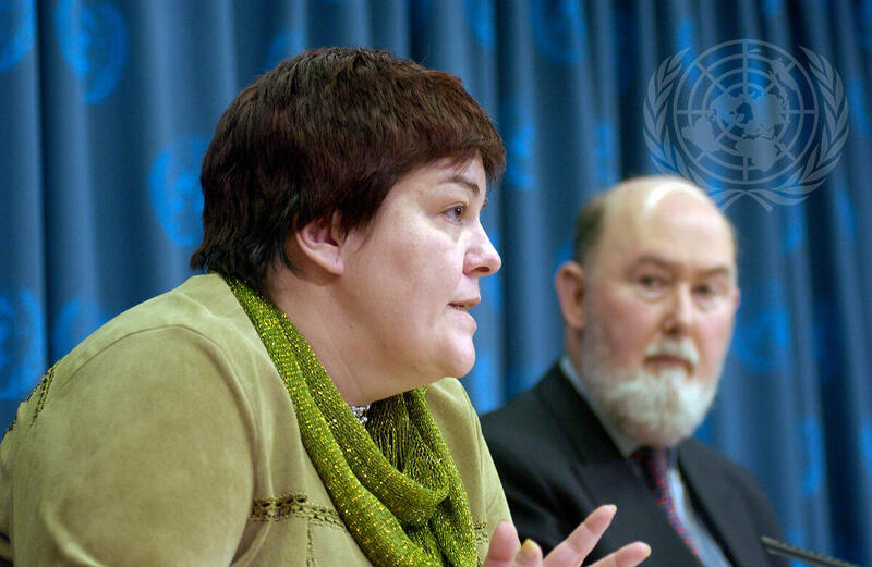 Press Conference on Electoral Assistance to Iraq