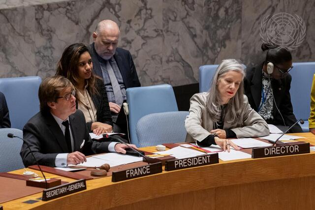 Security Council Meets on Peace Consolidation in West Africa