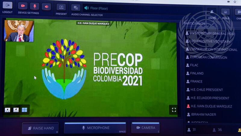 Secretary-General Attends Virtual Biodiversity Pre-COP Meeting