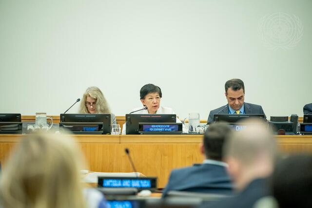 Disarmament Commission Holds Annual Session