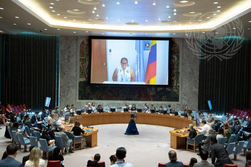 Security Council Meets on UN Verification Mission in Colombia
