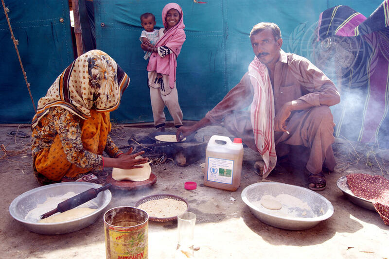 Pakistanis Displaced in Flood-Hit Sindh Province