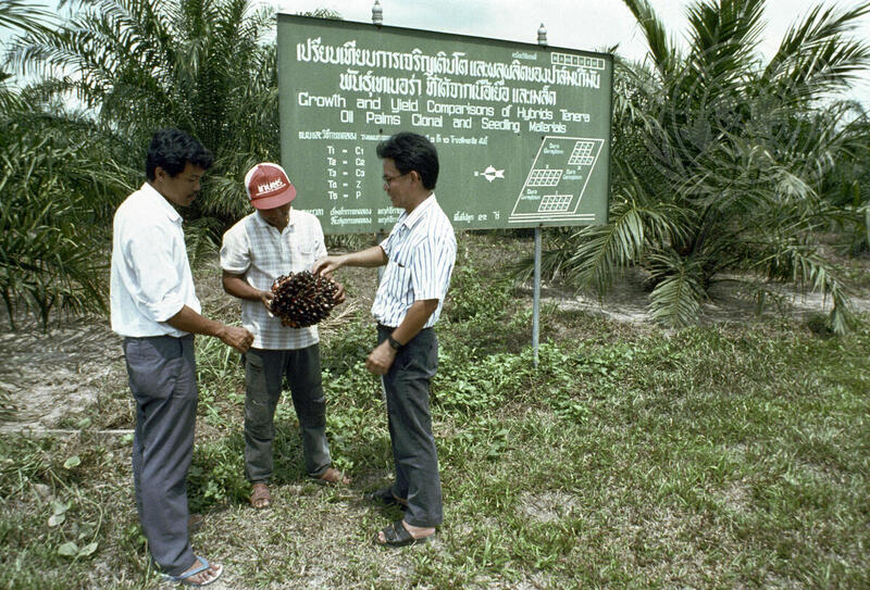 UNDP Projects in Thailand