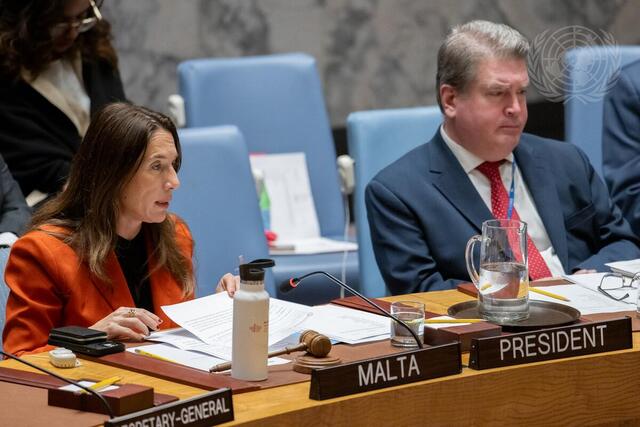 Security Council Hears Briefing by Chair of Organization for Security and Cooperation in Europe