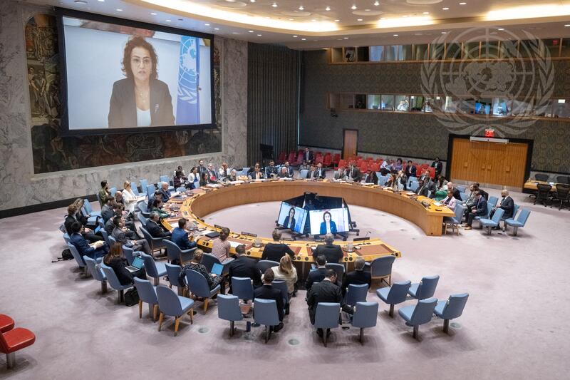 Security Council Meets on Situation in Syria