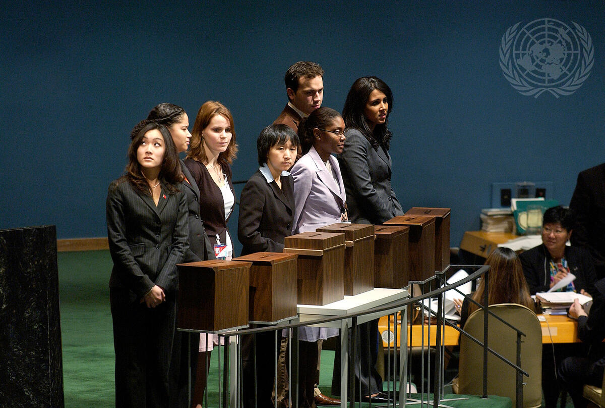 General Assembly Fills Vacancies on Several UN Bodies
