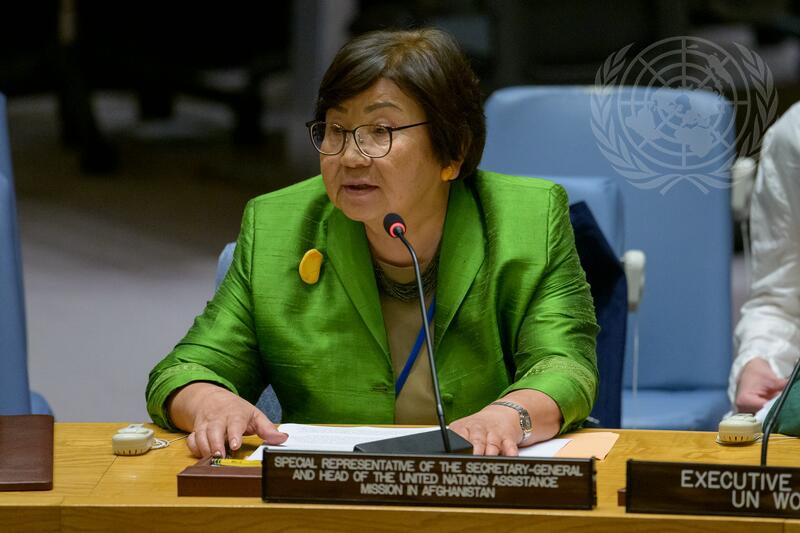 Security Council Meets on Situation in Afghanistan