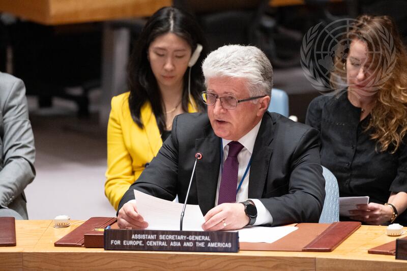 Security Council Meets on Maintenance of International Peace and Security