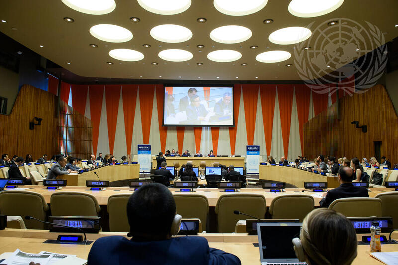 ECOSOC 2018 Integration Segment
