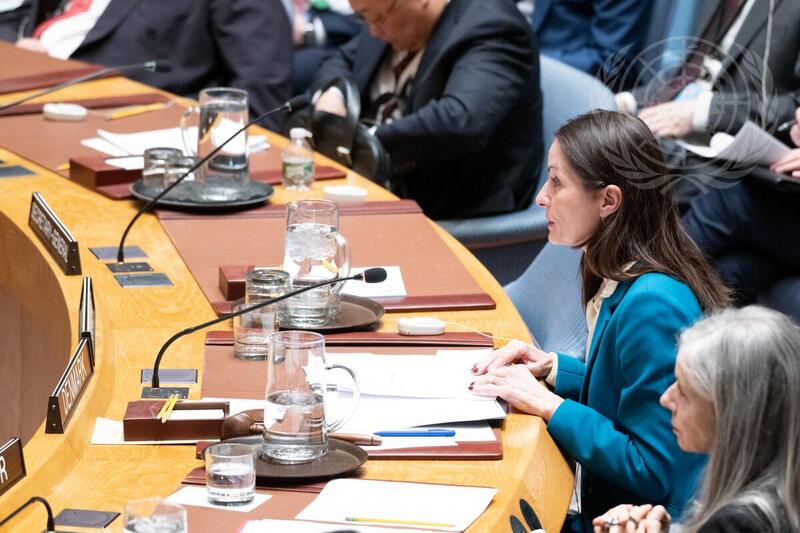 Security Council Hears Reports on Sudan and South Sudan