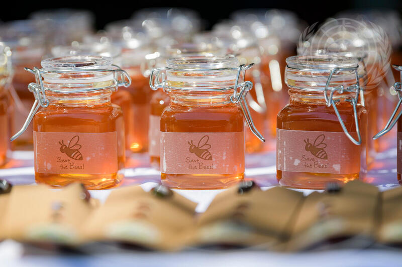 World Bee Day Celebration at UNHQ