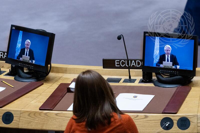 Security Council Meets on Situation in Middle East, Including Palestinian Question