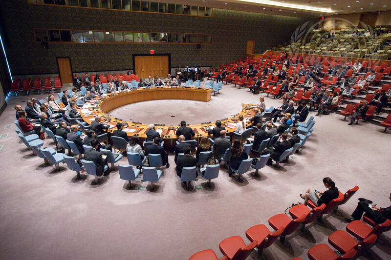 Security Council Discusses Cooperation Between UN and Regional Organizations