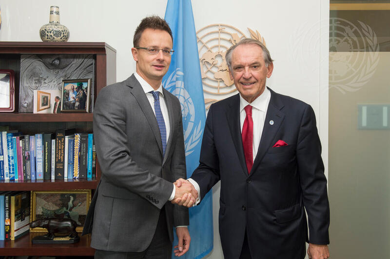 Deputy Secretary-General Meets Hungarian Foreign Minister