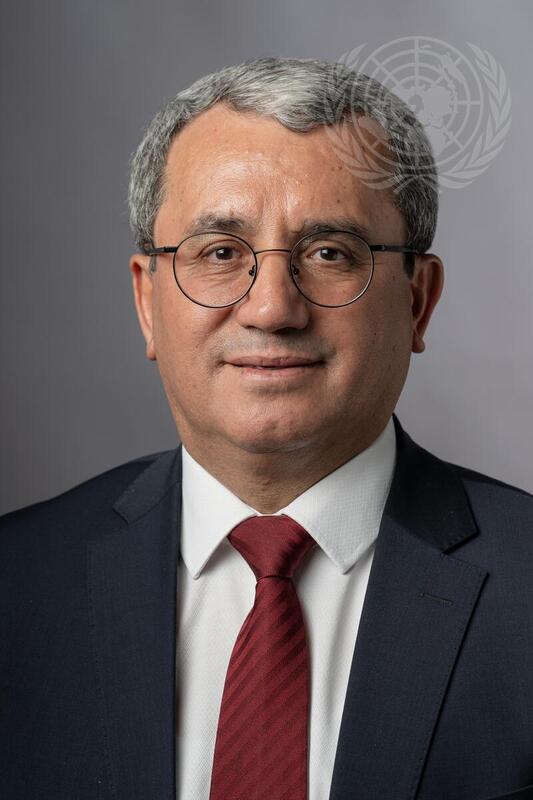 Portrait of Permanent Representative of Türkiye
