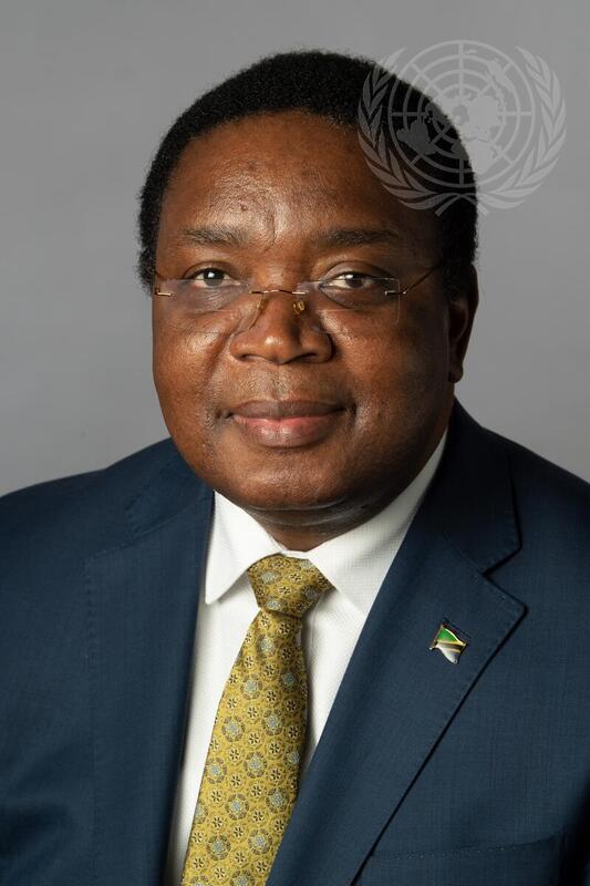 Portrait of Permanent Representative of Tanzania