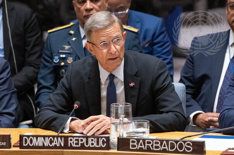 Security Council Meets on Question Concerning Haiti