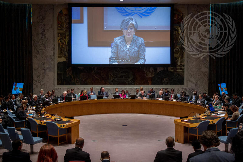 Security Council Meets on Middle East Situation