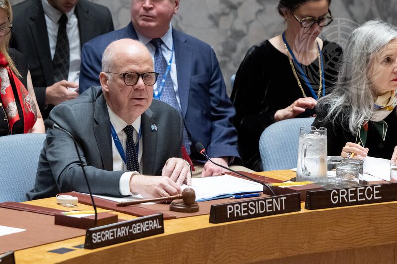 Security Council Meets on Situation in Middle East, Including Palestinian Question