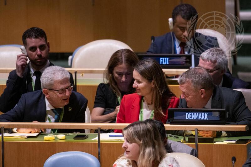 General Assembly Elects Non-Permanent Members of Security Council for 2025 – 2026