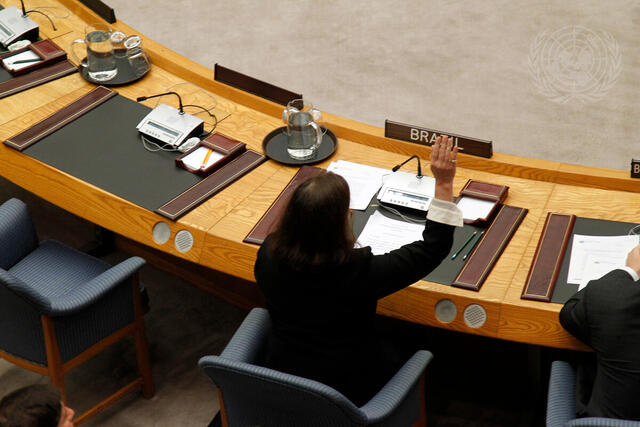 Brazil Abstains in Security Council Vote on Syria