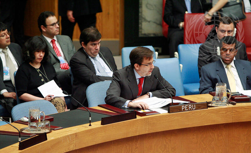 Heads of Security Council Mission to Africa Brief Council