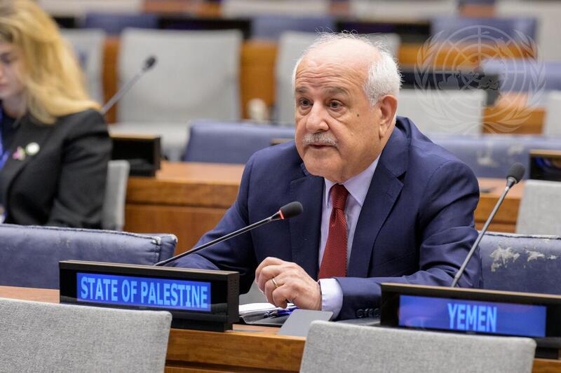 Meeting of Committee on Exercise of Inalienable Rights of Palestinian People
