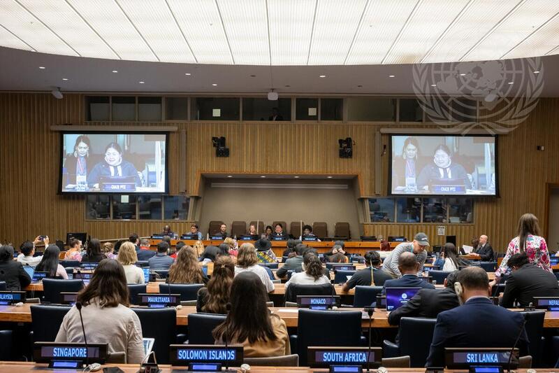 Dialogue on Financing of Indigenous Peoples' Work and Participation Across Multilateral and Regional System