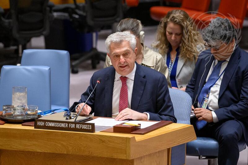 Security Council Hears Briefing by United Nations High Commissioner for Refugees
