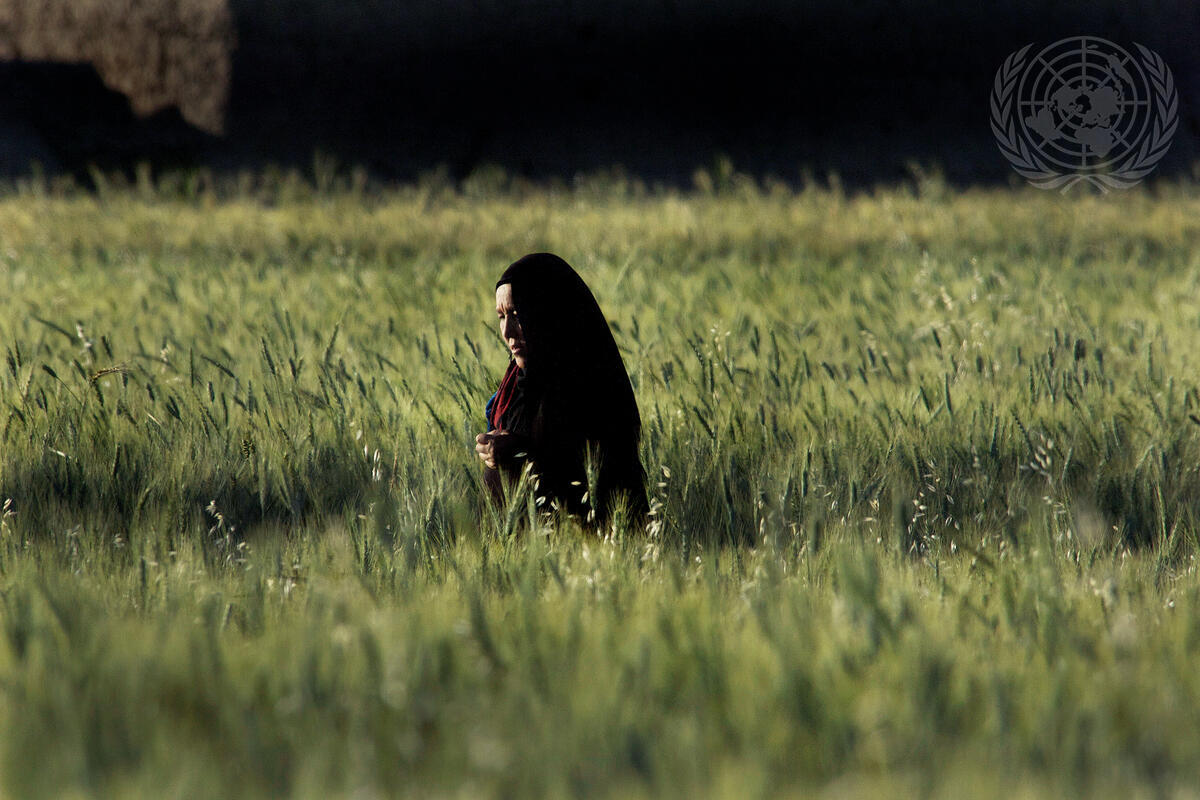 Afghan Woman in Field of Grass