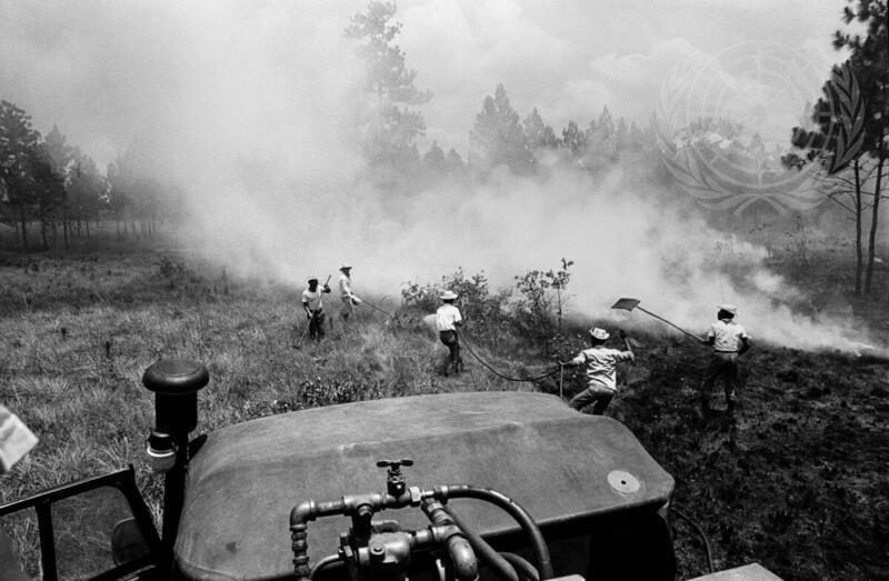 Development of Forest Resources in Nicaragua