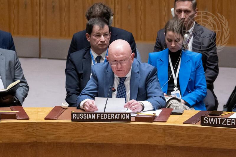 Security Council Meets on Situation in Middle East, Including Palestinian Question