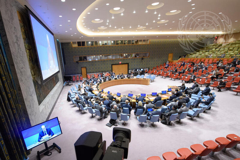 Security Council Considers Situation in South Sudan