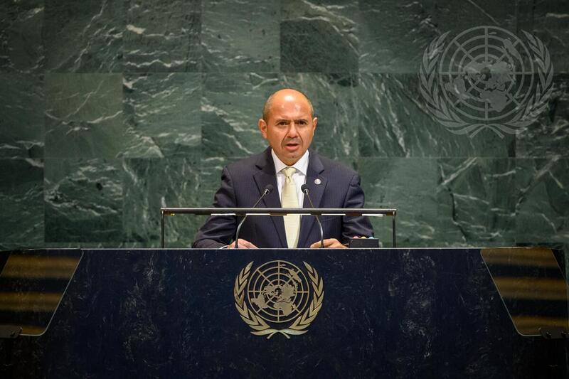 General Assembly Meets on 30th Anniversary of Fourth World Conference on Women