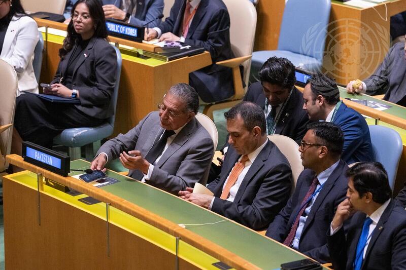 General Assembly Elects Non-Permanent Members of Security Council for 2025 – 2026