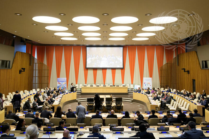 Launch of Revised Integrated Disarmament, Demobilization, and Reintegration Standards 'Journey for Peace and Development'