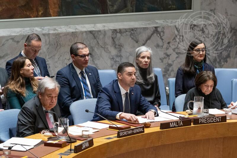 Security Council Meets on Situation in Middle East, Including Palestinian Question