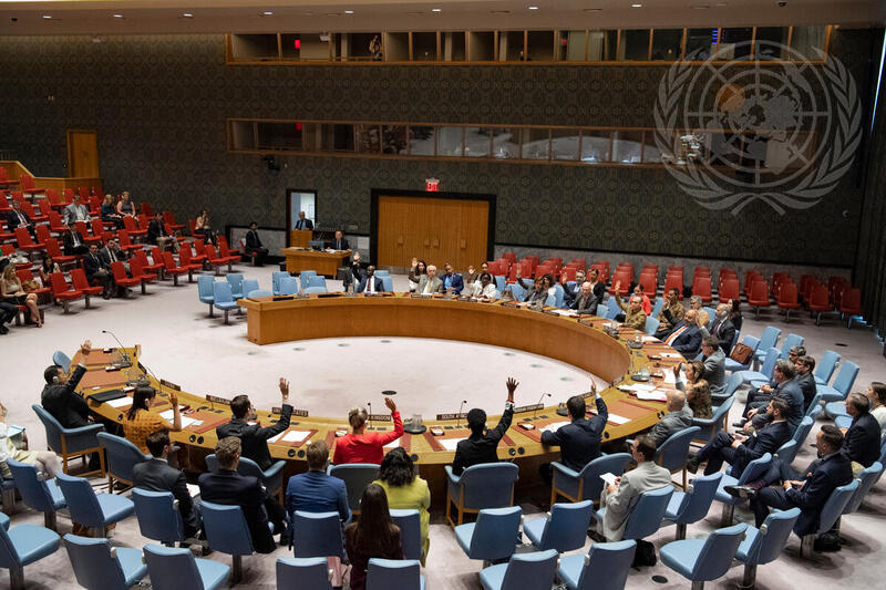 Security Council Extends Mandate of UNFICYP