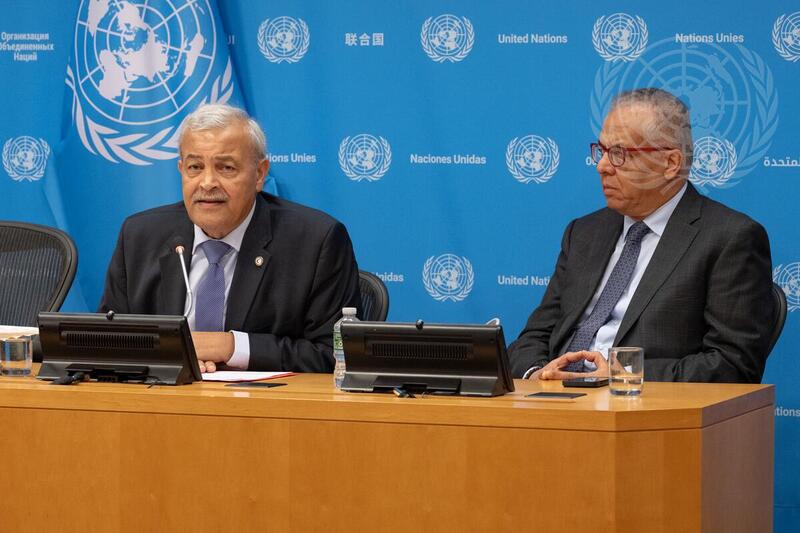 Press Briefing by Permanent Observer Mission of International Federation of Red Cross and Red Crescent Societies