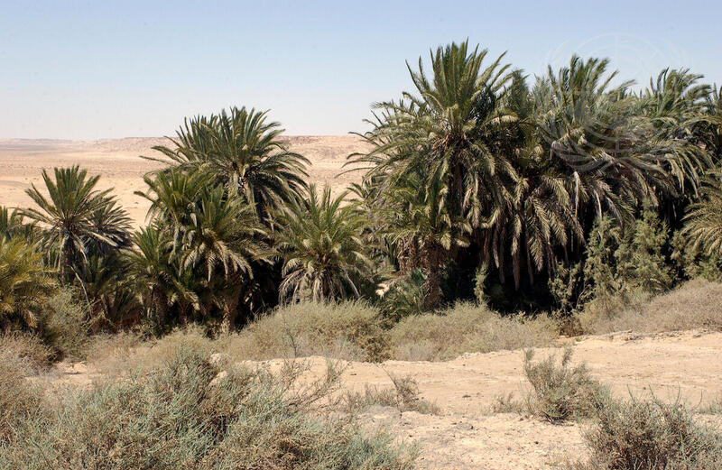 Western Sahara