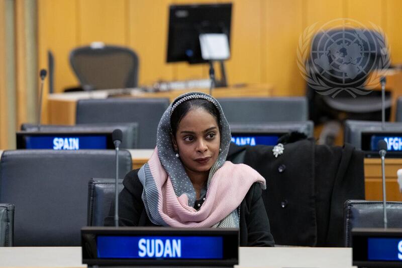 Joint Meeting of Second Committee and Economic and Social Council