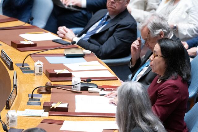 Security Council Meets on Maintenance of International Peace and Security